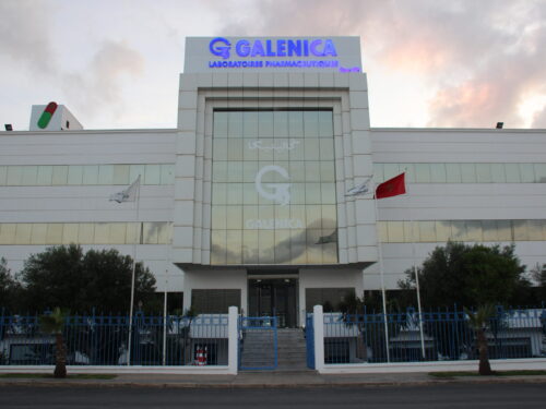 IMG_3856 IMG_3856